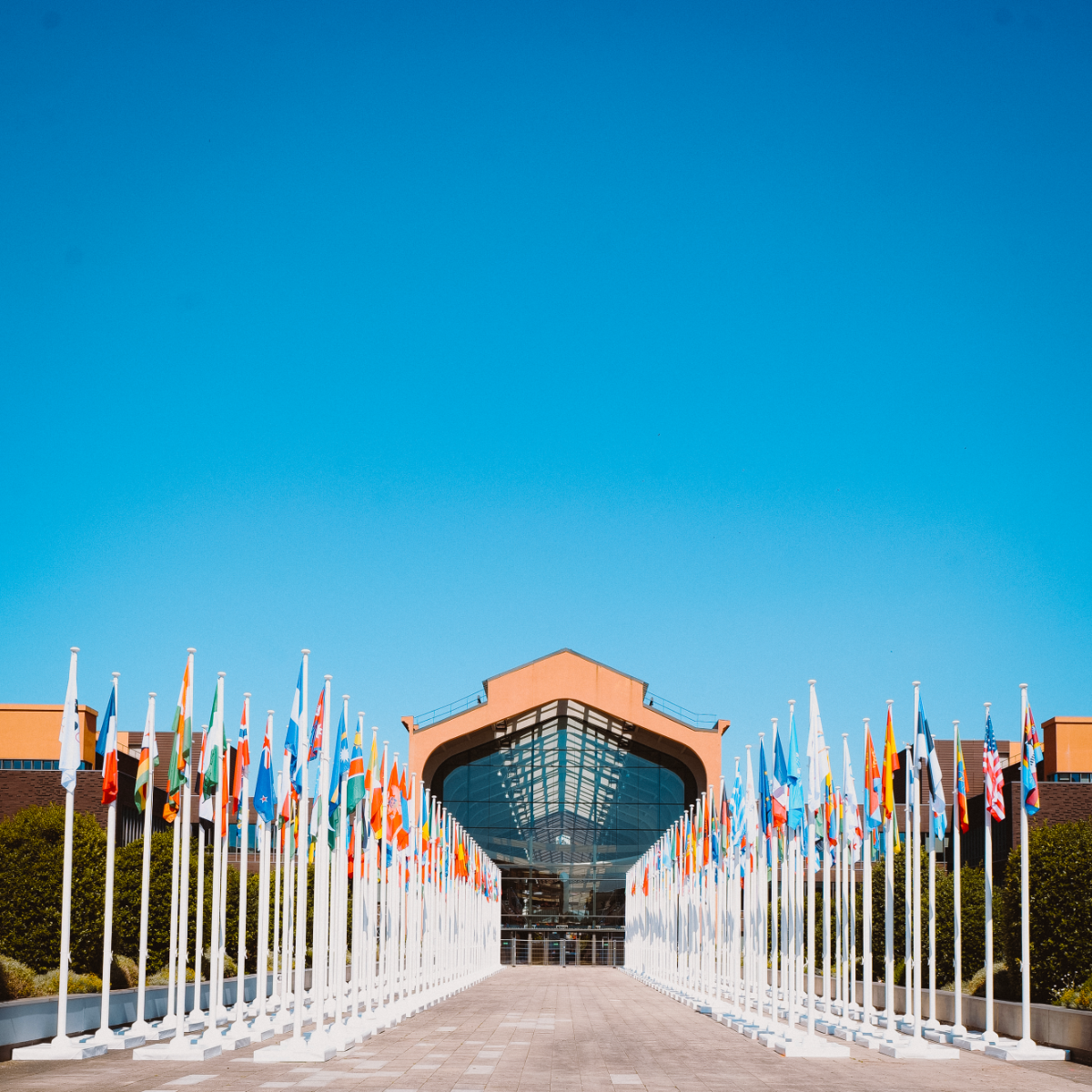 Le guide de la communication visuelle B2B Le guide du pavoisement pour entreprises