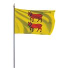 Drapeau province Béarn sur hampe