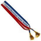 Écharpe tricolore conseil municipal junior
