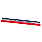 écharpe officielle tricolore conseil municipal des jeunes