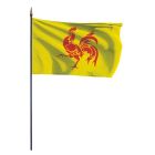 Pavillon province wallone ou drapeau wallon