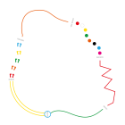 circuit essentiel pour design actif