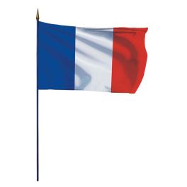 Drapeau de la France sur hampe en bois