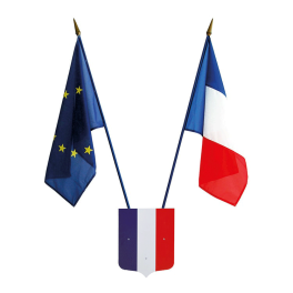 Écusson français tricolore avec deux drapeaux