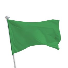 Drapeau baignade vert