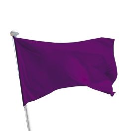 Drapeau baignade violet