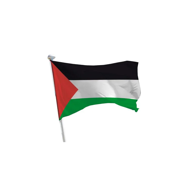 Drapeau Israélien Robuste De 0,9 X 1,5 M à Double Couture