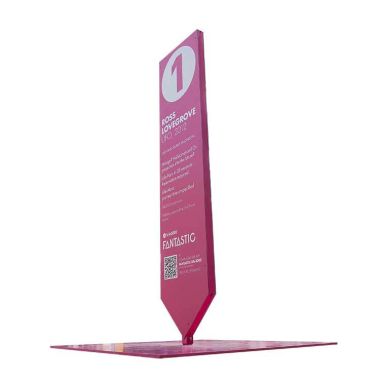 Totem Pointe