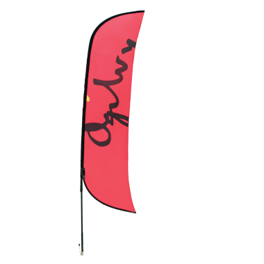 kit beach flag champion tenso