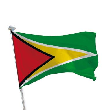 Drapeau Guyana pour mât