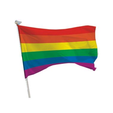 Drapeau arc-en-ciel pour mât
