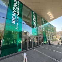 Vitrophanie et habillage de vitrine : Notre intervention lors de la convention de l'Adresse