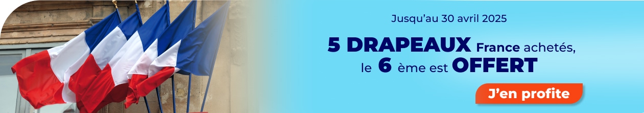 1-LEAD-Drapeux-Mat-1261x221_7_
