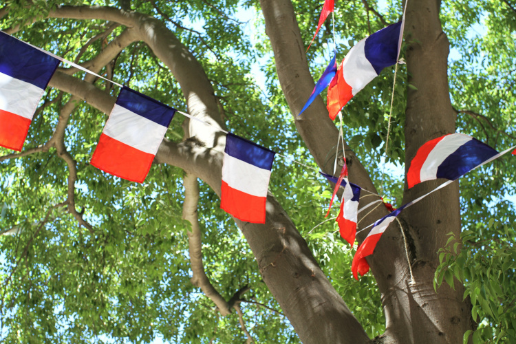 Guirlande de drapeaux France pour le 14 Juillet Guirlande de drapeaux France pour le 14 Juillet